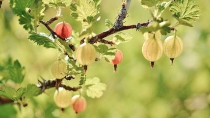 Какой праздник 14 мая: народные приметы и запреты