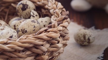 Полезны как для детей, так и для пожилых людей: почему стоит есть перепелиные яйца