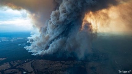 В Австралии бушуют лесные пожары: количество погибших возросло до 20