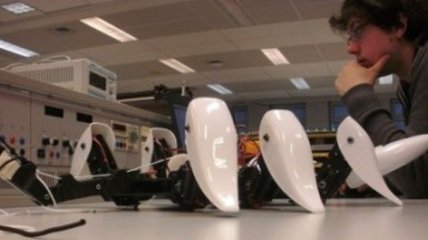 Бельгийские студенты создали робота-скорпиона на 3D-принтере