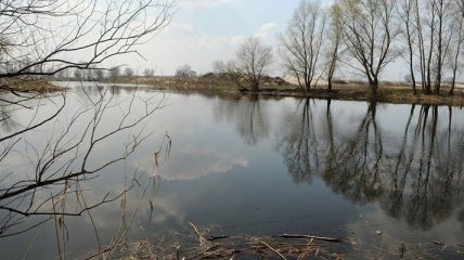 В Чернигове очищают приток Десны Стрижень от ила