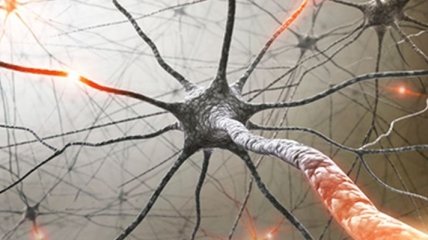 Ученые доказали, что склероз имеет генетическую природу