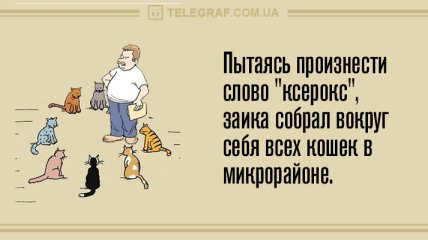 Даже не думайте скучать: вечерние анекдоты 23 января