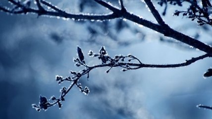 Погода в Украине 13 декабря: без существенных осадков 