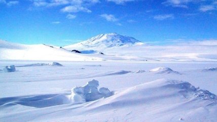 Подо льдами Антарктиды сделали удивительную находку 