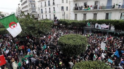 Более 200 человек пострадали в ходе протестов в Алжире