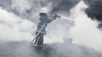 В Тернополе спасатели ликвидировали возгорание камыша (Фото)