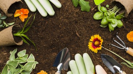 Календарь работ в огороде подскажет список дел