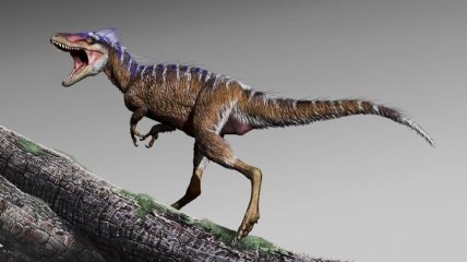 Описали карликовых предков тираннозавров