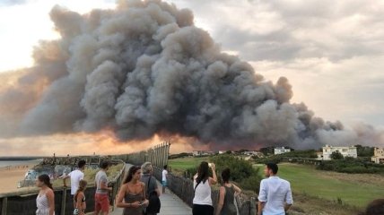 Юг Франции "накрыли" лесные пожары (Фото)