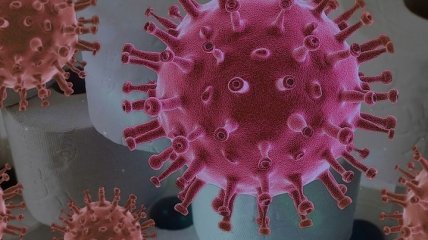 Уничтожает ли коронавирус высокая температура - новое исследование
