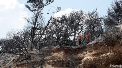 Причиной смертельных лесных пожаров в Греции мог стать поджог