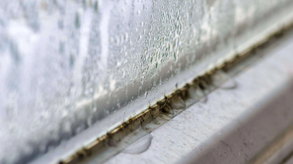 Зайва волога на вікні – найчастіша проблема цього сезону