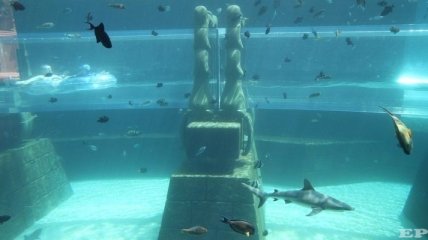 Дубайский отель "Атлантис" предлагает аттракцион "Сафари на акул"