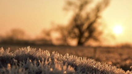 Украинцам пообещали самый теплый январь за последние годы