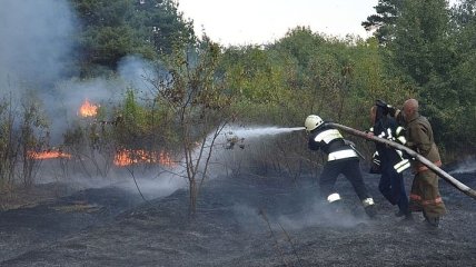 На Днепропетровщине к тушению лесного пожара привлекли авиацию ГСЧС