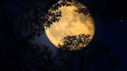 Грудневий Місяць обіцяє фінансовий успіх Терезам та Близнюкам