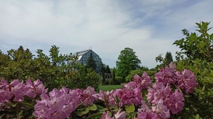 Ботанический сад Львовского национального университета им. Ивана Франко