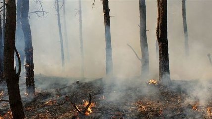 Открытого горения на месте пожара в Херсонской области нет