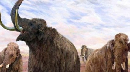 На территории Мексики найден древнейший мамонт