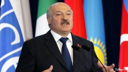 Лукашенко сравнил белорусских банкиров со "скопищем жирных котов"