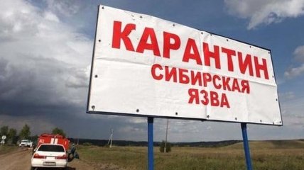 Сибирская язва в Одесской области: Нацгвардия оцепила село, ищут больных 