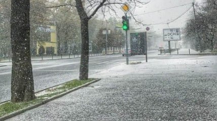 Харьков начало засыпать снегом в середине ноября: фото и видео