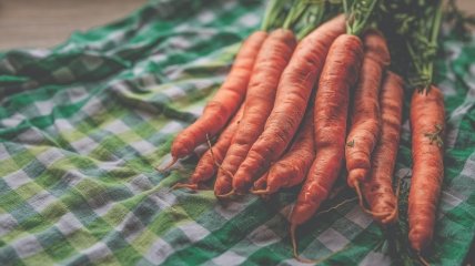 Чим підгодувати моркву у серпні, щоб плоди виросли солодкими