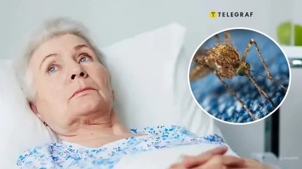 Паразитарная болезнь может поражать не только людей