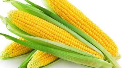 Какими полезными свойствами обладает кукуруза