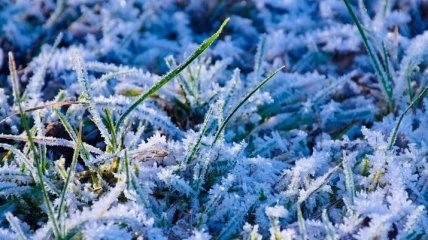 В Украину прийдут холода: синоптик дала прогноз погоды на ближайшую неделю