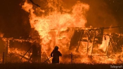 В Австралии бушуют катастрофические лесные пожары (Фото, Видео)