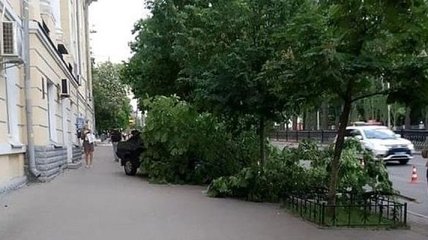 В Киеве машина вылетела на тротуар и сбила двух пешеходов