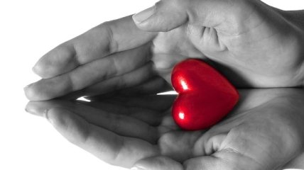 10 занимательных фактов о сердце