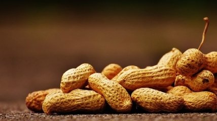 Арахис: полезные и вредные свойства ореха