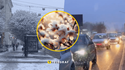 В Україні пішов сніг у березні