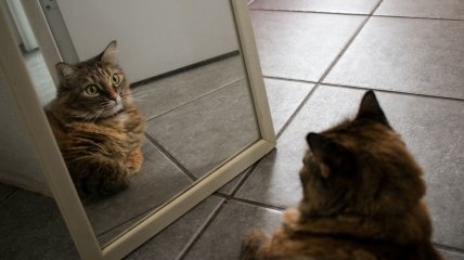 Народные приметы и суеверия о зеркале