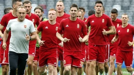 Венгрия - Бельгия: где смотреть онлайн трансляцию матча 1/8 финала Евро-2016