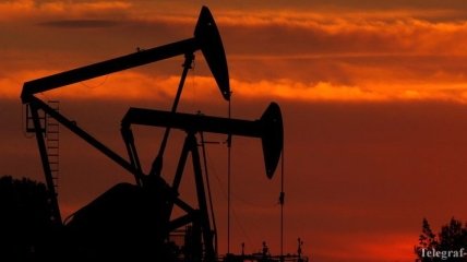 Цена на нефть Brent упала ниже отметки 50 долларов за баррель
