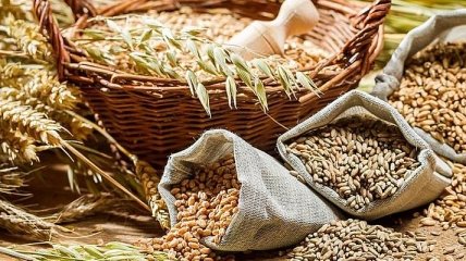 Госпродпотребслужба: Украина снизила экспорт зерновых