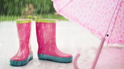 Возьмите зонтик с собой: Прогноз погоды на 6 июня 