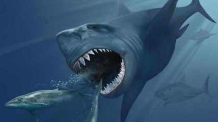 Мегалодон: самая знаменитая и ужасная акула древнего океана (Фото)