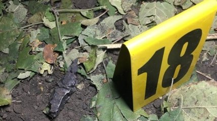 В Харьковской области во дворе жилого дома прогремел взрыв, погиб хозяин