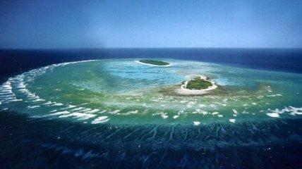Экстренная защита жемчужины природы - Большого барьерного рифа