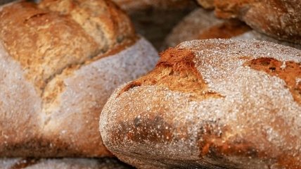 Хлеб быстро плесневеет: в чем может быть причина