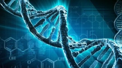 Ученые открыли "ген отказа от алкоголя"
