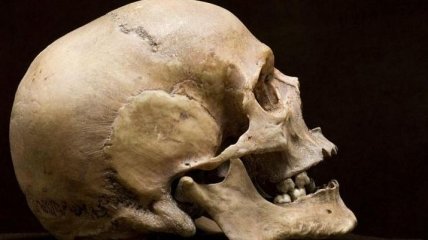 Ученые воссоздали по черепу лицо девушки, которая жила 9000 лет назад