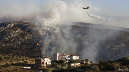 В Греции бушуют лесные пожары, огонь приблизился к Афинам 