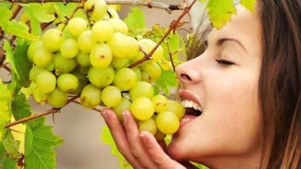 Виноградная диета: как вкусно похудеть