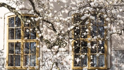 Крізь чисті вікна краще видно прихід весни